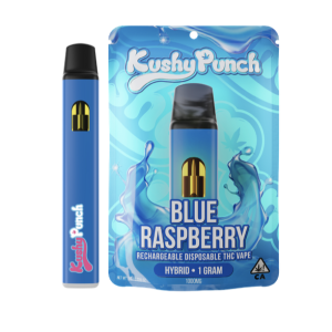 Kushy Punch Blue Raspberry Disposable Vape