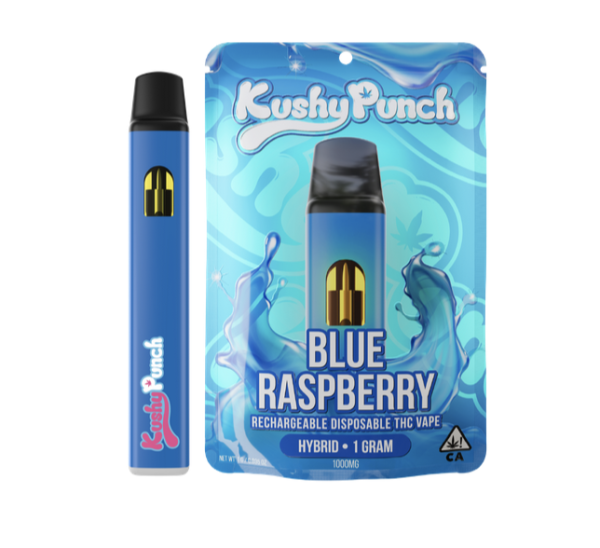 Kushy Punch Blue Raspberry Disposable Vape