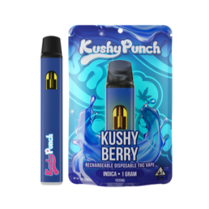 Kushy Punch Kushy Berry Disposable Vape